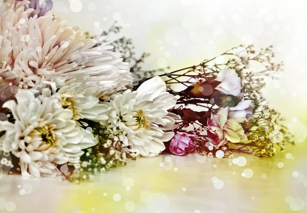 Ромашковый, желтый и белый хризантем — стоковое фото