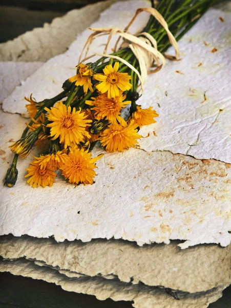 Bouquet di denti di leone su carta fatta a mano — Foto Stock