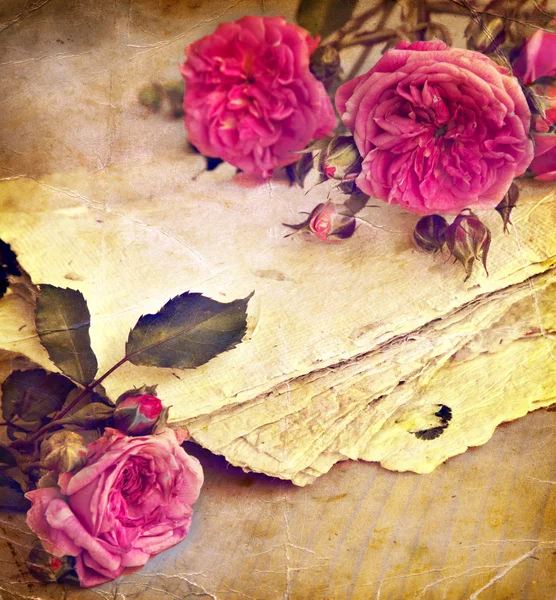 Roses et papier fait main — Photo