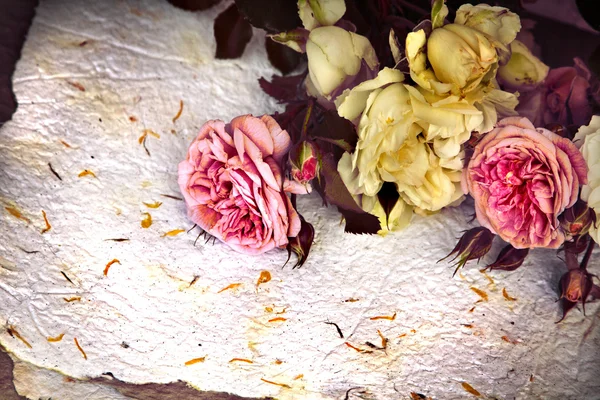 Roses and handmade paper — Stock Photo, Image