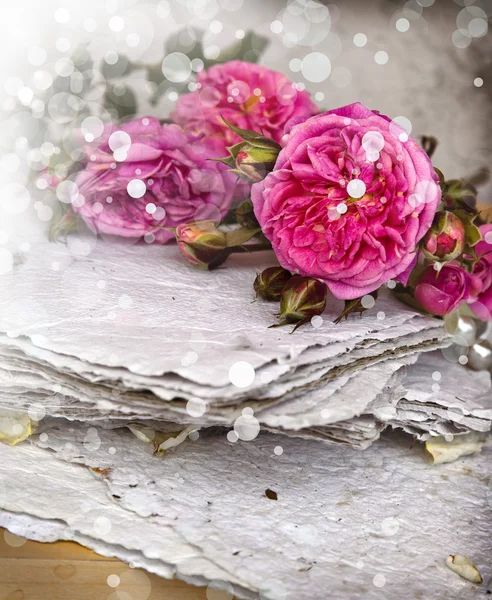 Roses and handmade paper — Stock Photo, Image