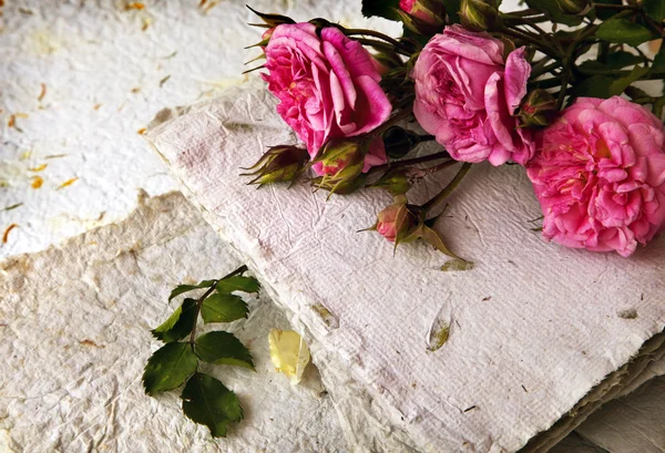 Rosas e papel feito à mão — Fotografia de Stock