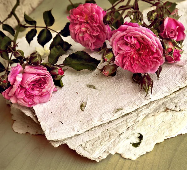 Pink roses and handmade paper — Stock Photo, Image