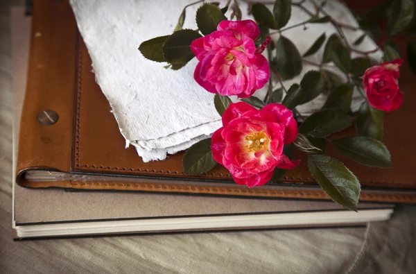 Rote Rosen und altes Buch — Stockfoto