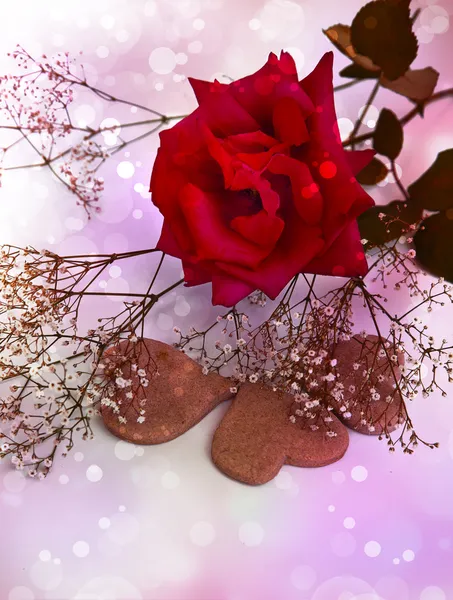 빨간 장미와 하트 모양의 coockies — 스톡 사진