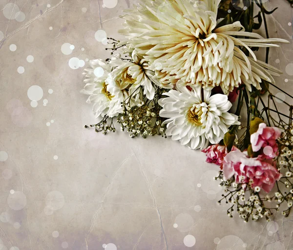 Chamomile and white chrysanthemum — Stock Photo, Image