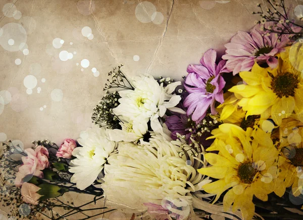 Sommar blommor — Stockfoto