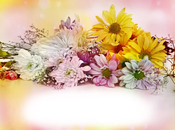 Summer flowers — Stock Photo, Image