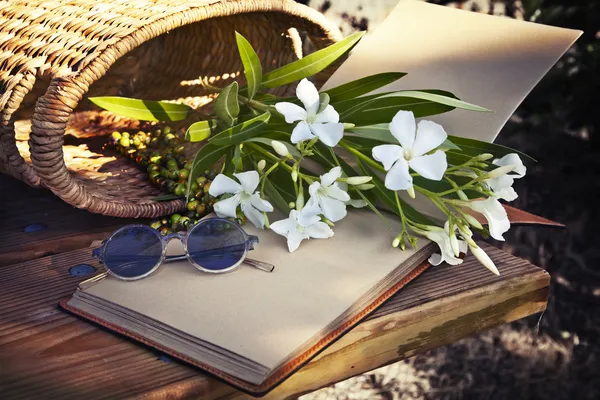 Beautiful white flowers with basket — Stock Photo, Image