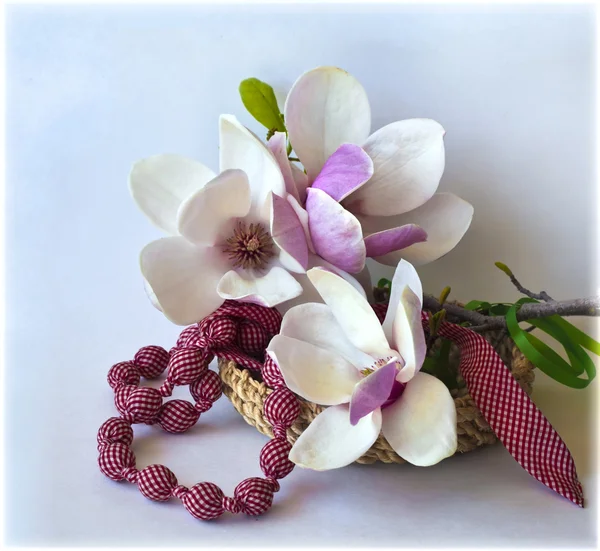 Spring background with magnolia flowers — Stock Photo, Image