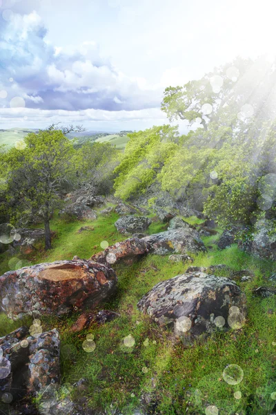 Zomer landschap met bewolkte lucht — Stockfoto