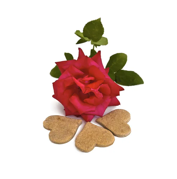 Red rose and heart shaped cookies — Stock Photo, Image