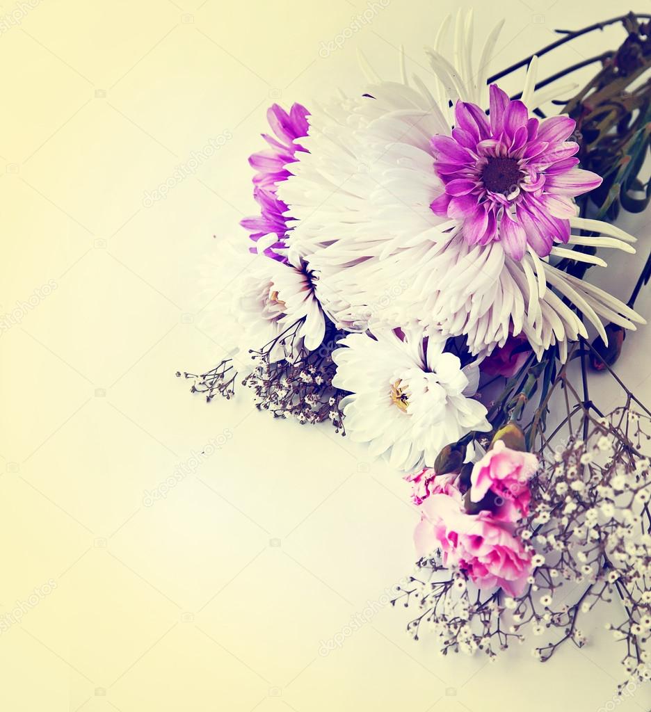 カモミールと白の菊 ストック写真 C Artnature カモミールと白の菊 ストック写真 C Artnature