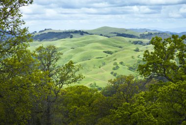 Bulutlu Gökyüzü ile Yaz Manzarası