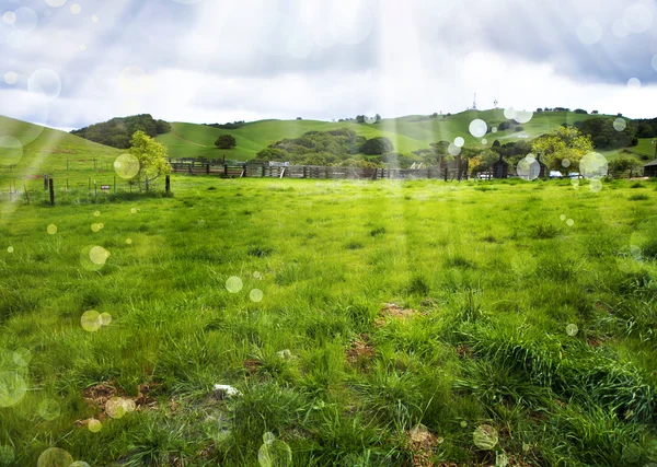 Sommarlandskap med molnig himmel — Stockfoto