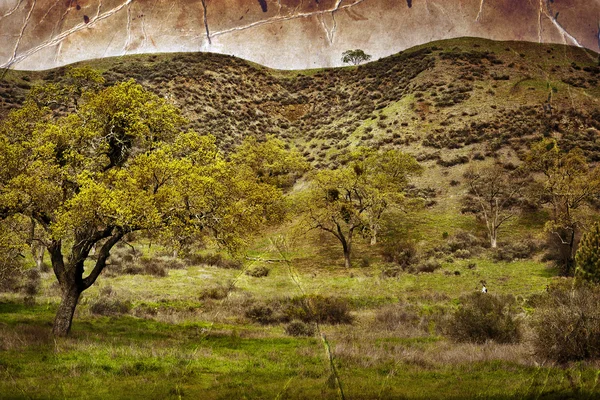 Paysage d'été avec ciel nuageux — Photo