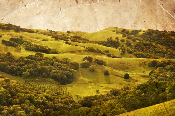 Paisagem de verão com céu nublado — Fotografia de Stock