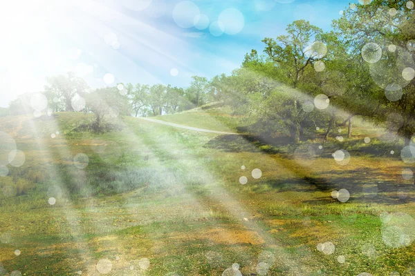 Landschap met zon balken — Stockfoto