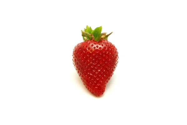 Fraise simple — Photo