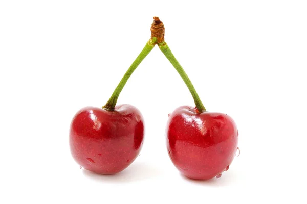 Dvě třešně s kapky — Stock fotografie