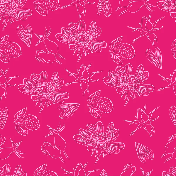 无缝模式与线野蔷薇 — 图库矢量图片