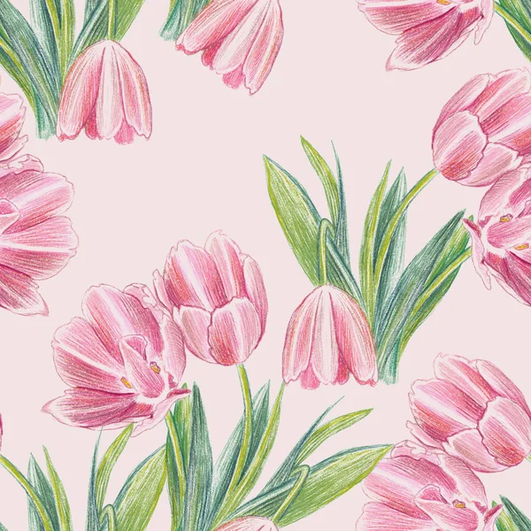Patrón Sin Costuras Con Delicados Tulipanes Rosados Primavera —  Fotos de Stock