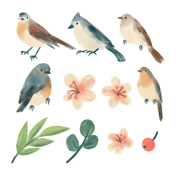 Set of digital watercolor forest birds, twigs and flowers