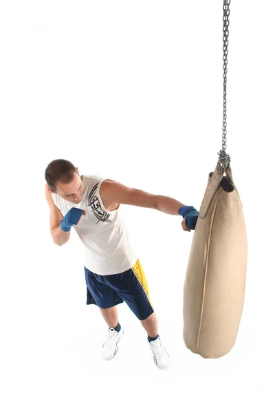 Boxer — Stock Photo, Image