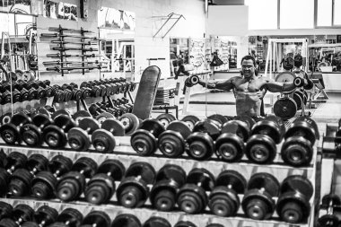 dambıl ile egzersiz vücut geliştirmeci