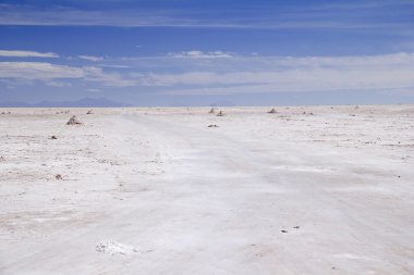 Salar de Uyuni