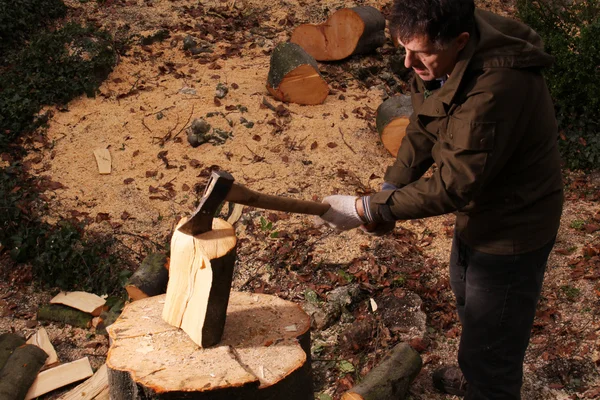 Forester chopping wood — Stock Photo, Image