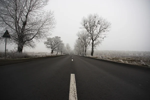Silnice v mlhavé den — Stock fotografie