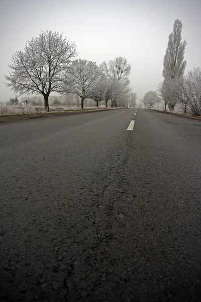 Silnice v mlhavé den — Stock fotografie