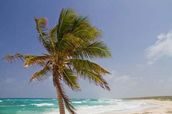 Praia — Fotografia de Stock