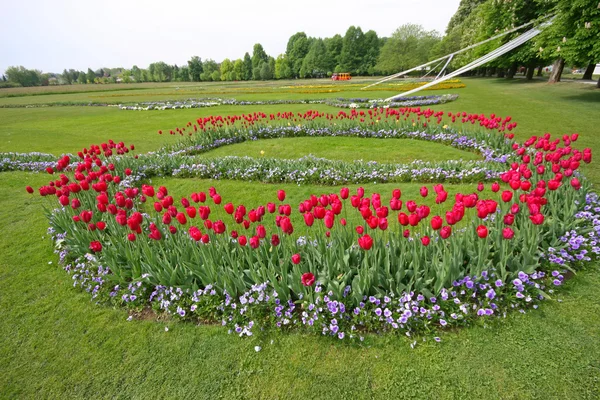 Red tulips — Stock Photo, Image