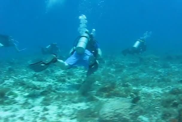 Buceadores en el mar — Vídeo de stock