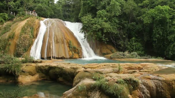 Agua azul şelale — Stok video