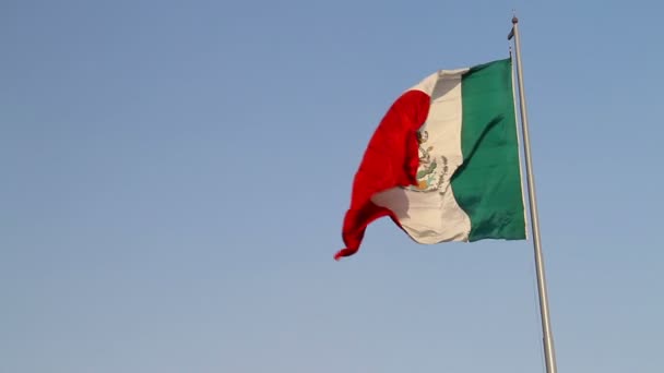 Vlag van Mexico — Stockvideo