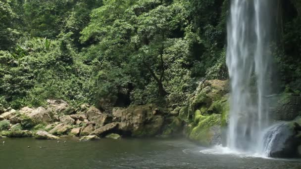 Chute d'eau Misol Ha — Video