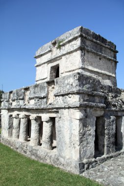 Antik Maya harabelerini