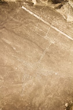 Nazca çizgileri