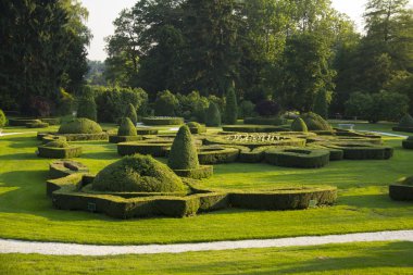Botanik Bahçesi içinde bush