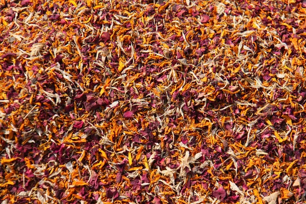 Dried flower leafs — Stock Photo, Image