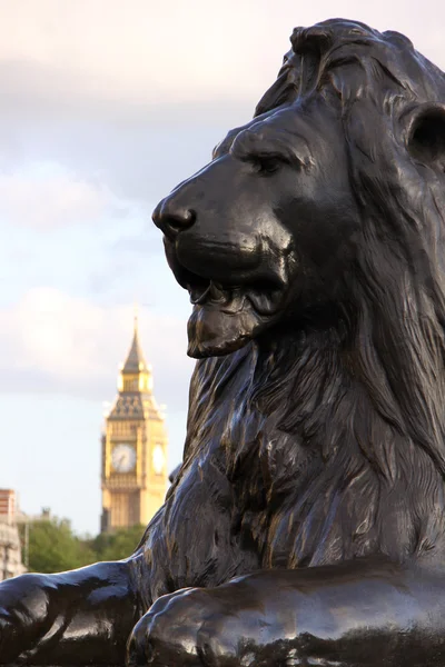 Lion sur Trafalgar Square — Photo