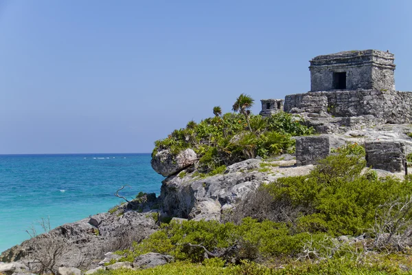 Maya ruiny v tulum — Stock fotografie