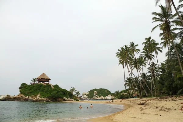 Spiaggia vicino foresta tropicale — Foto Stock