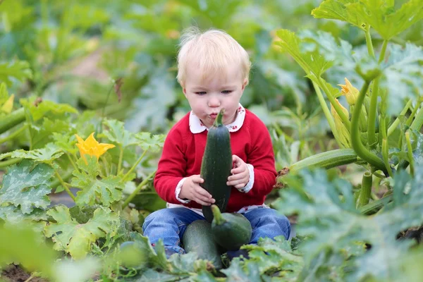 Baby flicka plocka upp mogen zucchini — Stockfoto