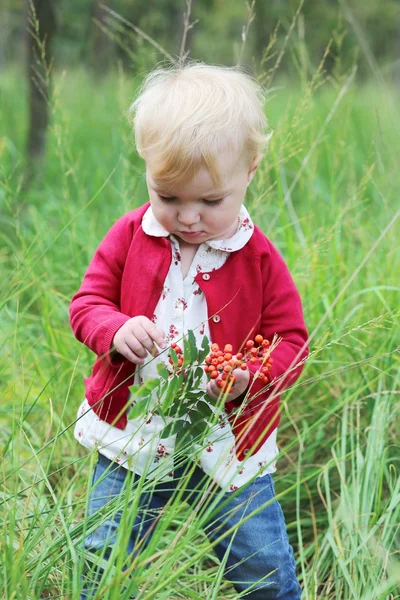 Vauva tyttö leikkii syksyllä metsässä tilalla pieni pihlaja haara — kuvapankkivalokuva