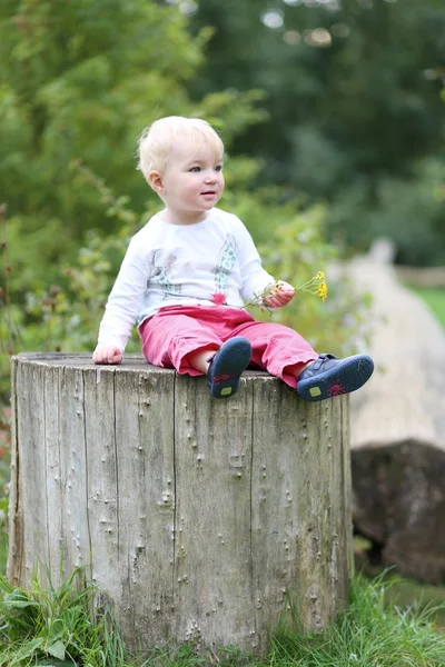 Baby girl sitting on a big stump — Stock Photo, Image