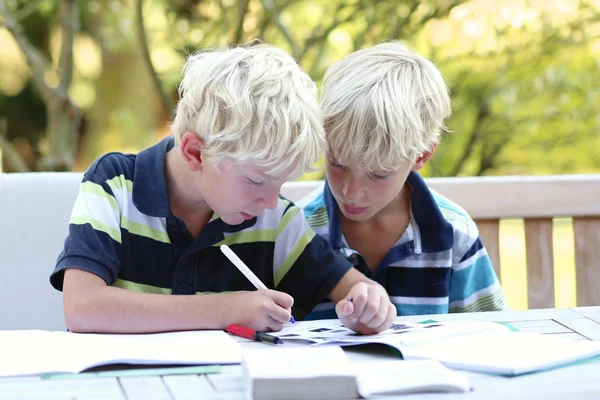 Frères jumeaux faisant leurs devoirs ensemble — Photo